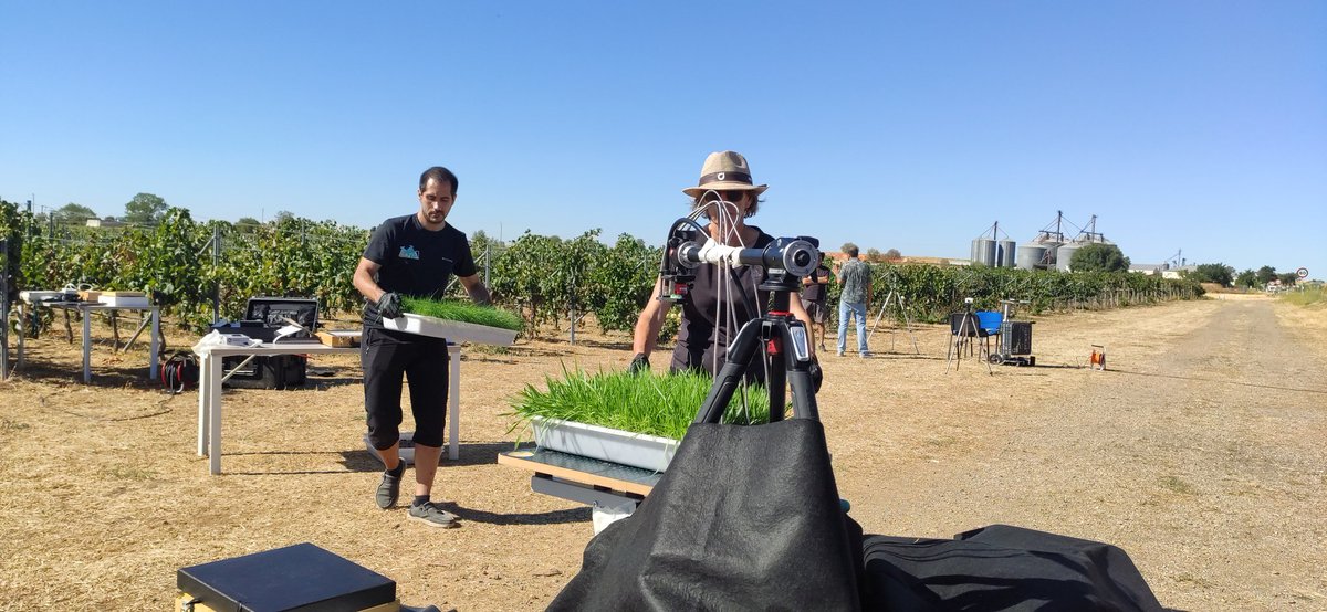 David Aragones Borrego tweet media