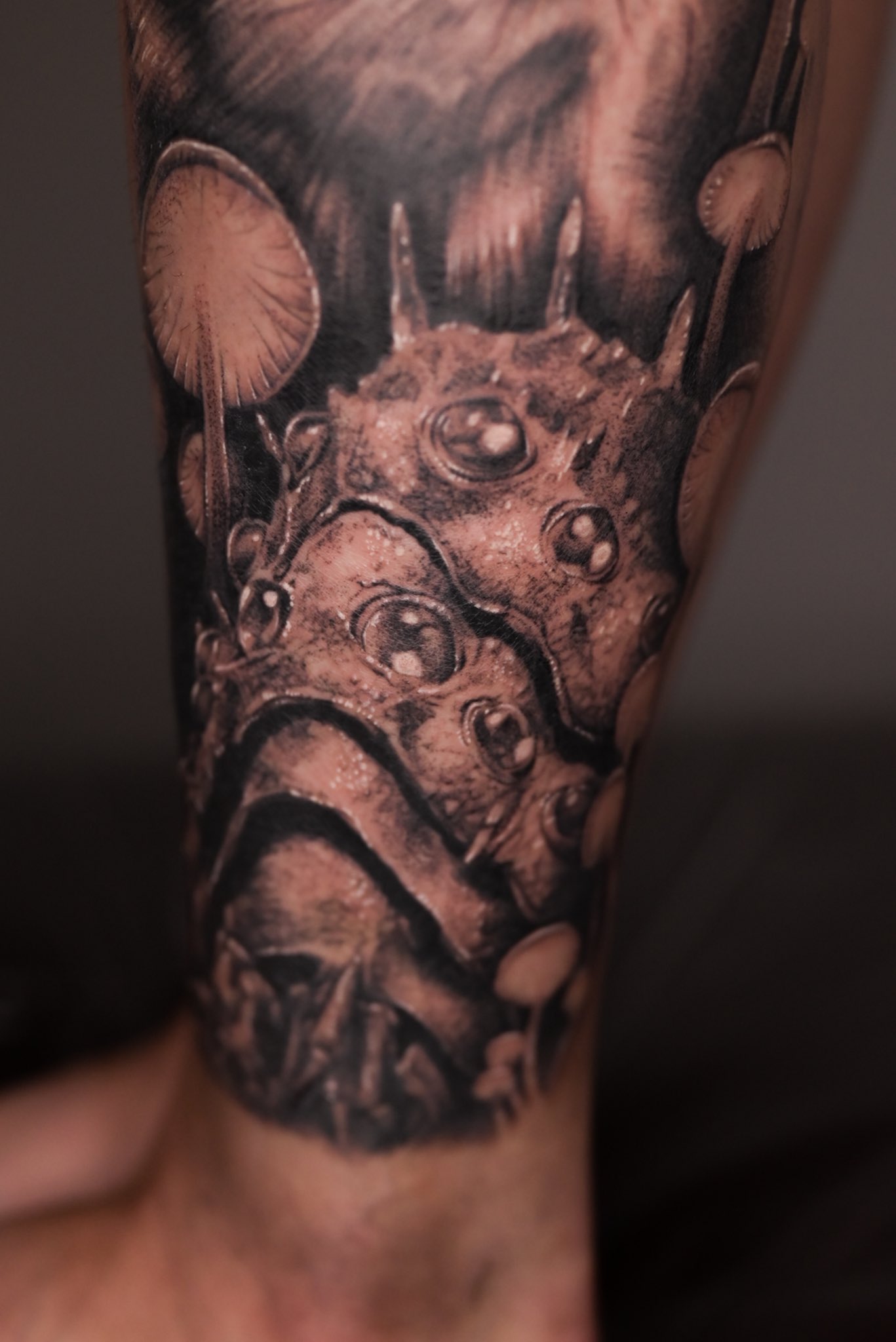 Lazy Tattoo (@LazyTattoo) / X
