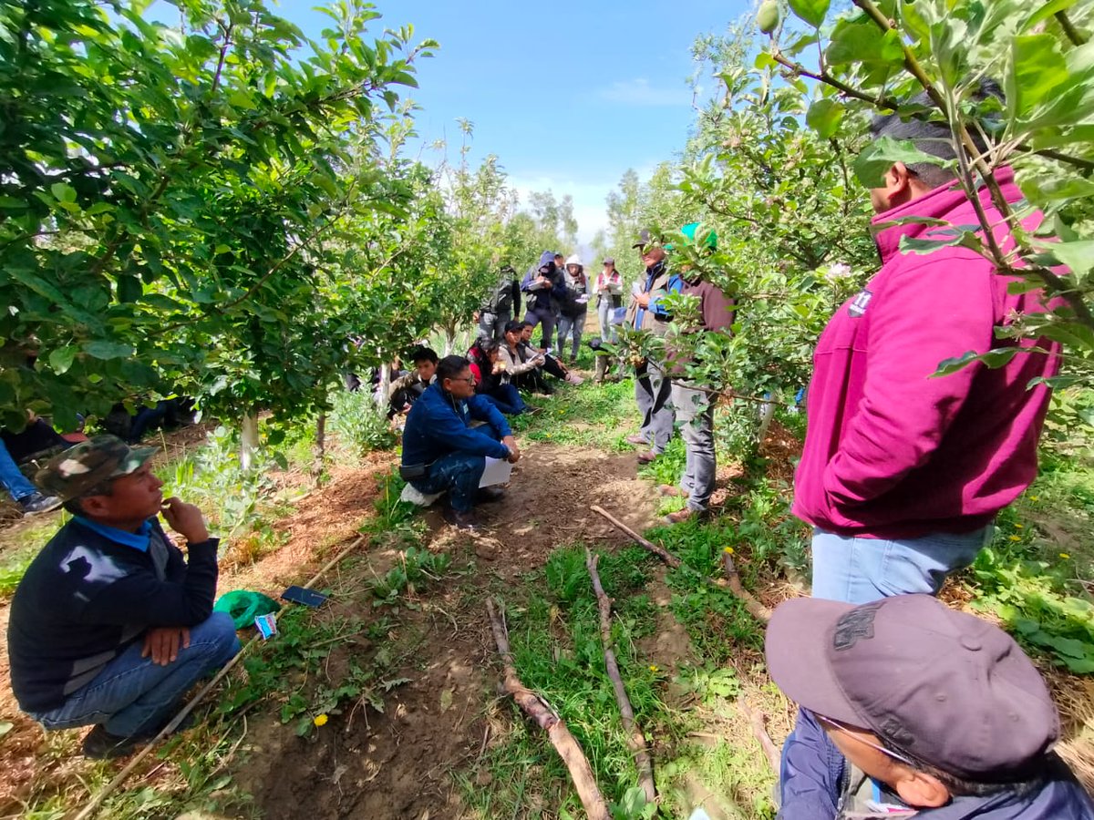 agrecol_andes's tweet photo. Estamos en un intercambio de experiencias en #SistemasAgroforestales con estudiantes del Tecnólógico Superior Agroindustrial #TECSA de #Aiquile. Que tengan una excelente jornada de aprendizaje y prácticas en #Arani. https://t.co/57BmMEkPS0