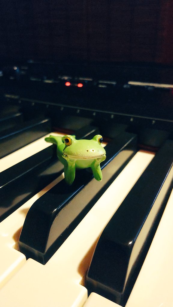 Tweets With Replies By Kengo Kg Popmusic Twitter