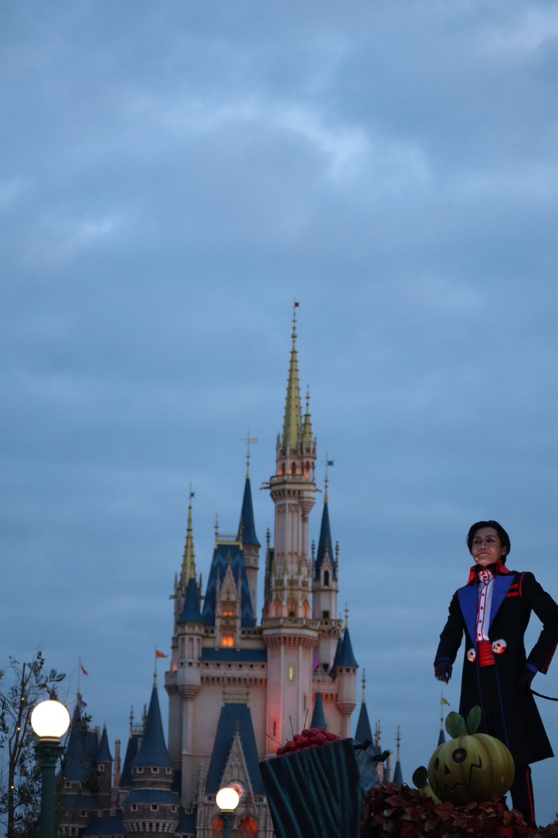 は自分にプチご褒美を ステファンマーチンエアー シンデレラ城 ディズニー 絵画 タペストリ Www Nederveencosmetics Nl