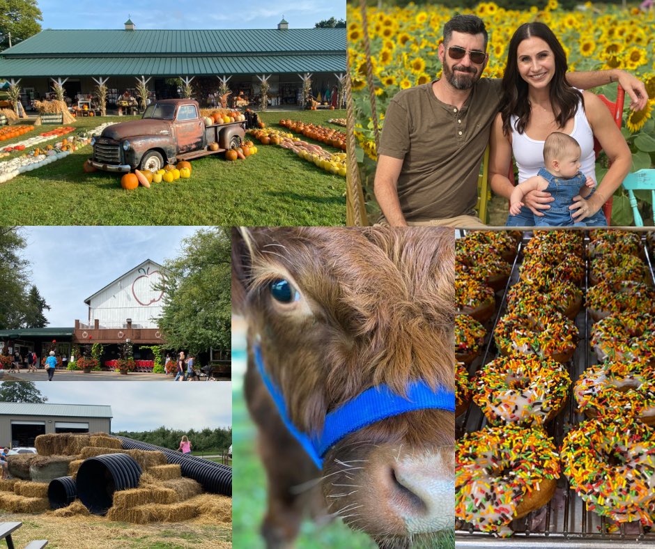WhiteHouseFF's tweet photo. Fall Harvest Weekends are here! Join us every Saturday & Sunday through October 23 for family fun, food and more. Visit our website for details. See you on the farm. #WHFFfun #FamilyFun #FallHarvest
https://t.co/jWkampsLfj https://t.co/Af2IlSZALV