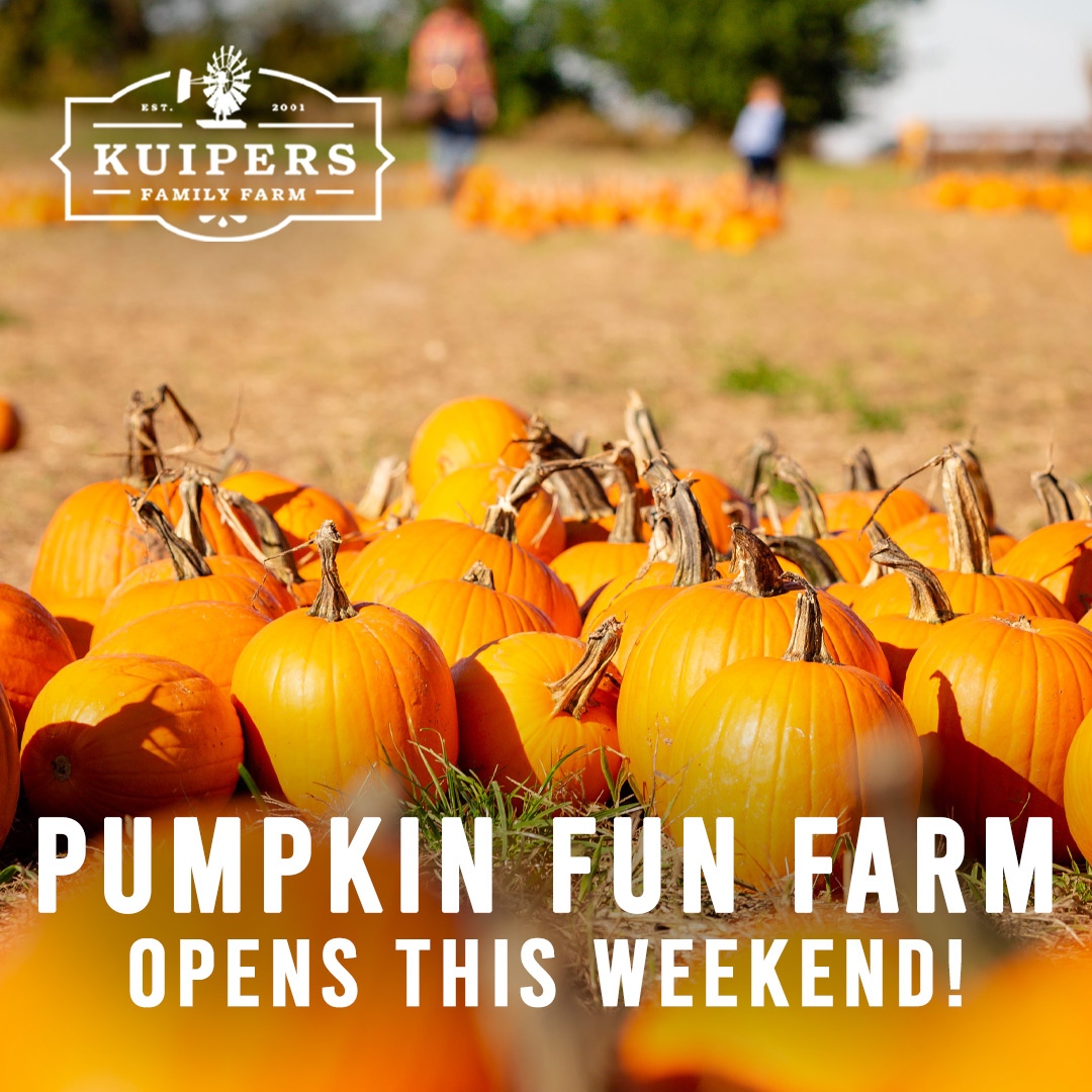 kuipersfarm's tweet photo. Get Ready!... the ever-popular Pumpkin Farm Fun opens this weekend! Guests can visit fun things like Tractor Tire Mountain, Chalk House, Back 40 Playground, Fort Kuipers, and Rat Rollers. For all that's there to do at the Pumpkin Farm Fun, visit https://t.co/j0JH53d2ue https://t.co/kxfwgJnTuJ