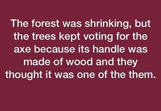 DavidWhinray's tweet photo. Time we put down the axe and started planting trees for each other 🌳🌲

#community #society #culture #partisanship #mothernature #climatechange #inequality #bigotry #HateSpeech #HumanRights #kinship #family #friends #FriendshipGoals #socialmedia https://t.co/FO7SAT4qvM