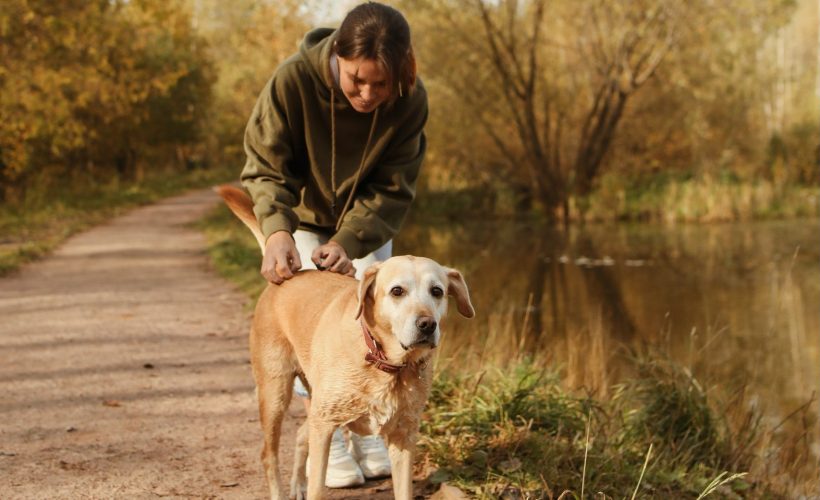Reductress's tweet photo. 'Slay,' Woman Mutters Absently to Dog Taking a Shit: https://t.co/0nXPbV2PRl https://t.co/r1CaDazxev