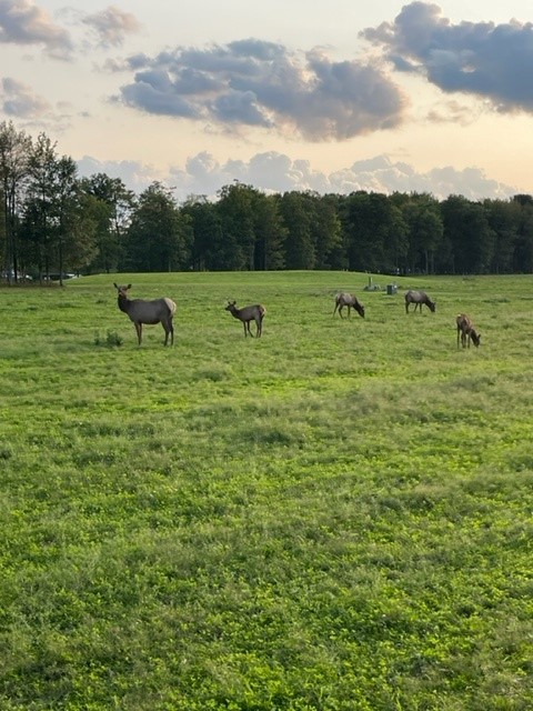 NEPA_Alliance's tweet photo. This week the NEPA Alliance had the opportunity to join partners from the 7 LDD's in the breathtaking region of @ThePAwilds hosted by @NCPCommission with stakeholders @GayleManchin @ARCgov @PADCEDnews to see investments in action. Congratulations @pennhighlandshc #ARCPower grant https://t.co/q3i7OuGjNo