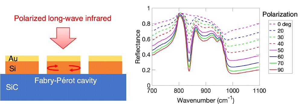 Nanophotonics_J's tweet image. A new photonics platform for long-wave infrared light: Coupled surface plasmon-phonon polariton nanocavity arrays:
degruyter.com/document/doi/1…
#plasmon #phonon #polariton #optics #photonics