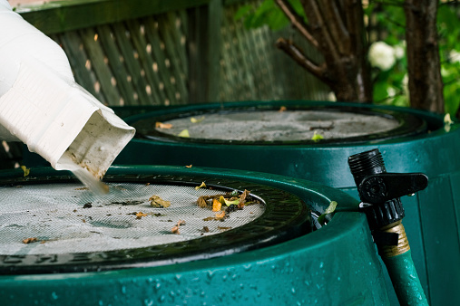 Tip #1: Disconnecting your downspout from the stormwater system helps improve water quality and provides water which can be used for gardening. Buy a rain barrel, make your own, or check out URI’s resources for other approaches to saving the runoff from your roof (2/2)