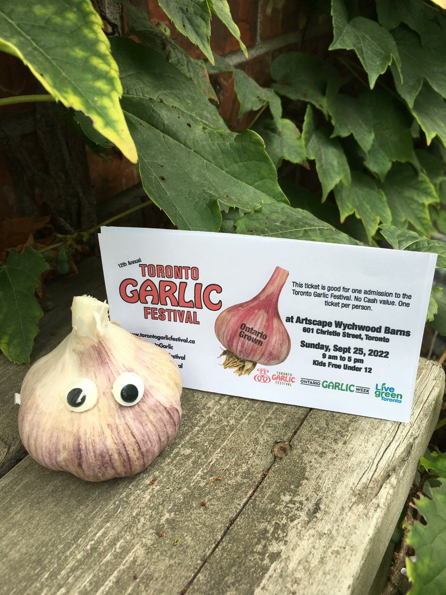 TorontoGarlic's tweet photo. You've got questions? We've got answers! Everything you need to know about Toronto Garlic Festival this yearπ https://t.co/dSnIlB3joF
#torontoevents #wychwoodbarns #torontogarlic #foodietoronto #torontoeats #torontofoodie #torontofood #yyzfood #yyzfoodie #torontogarlicfestival https://t.co/1vJ0g5oA47