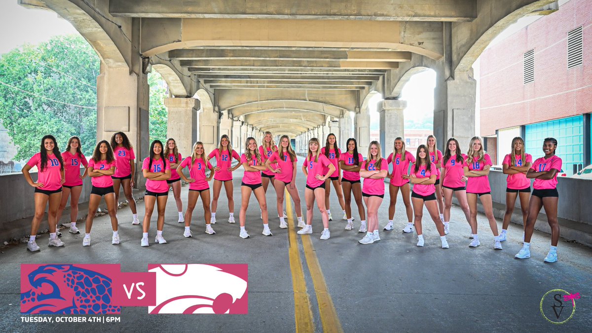 BSSJagsVball's tweet photo. Mark your calendars! The 16th Annual Dig for the Cure Match is set for Tuesday, October 4th at Blue Springs South! https://t.co/pACA6rUQWW