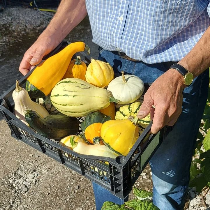 Spooktacular Pick Your Own Gourds here 9th October from 10am. This is a FREE event but booking is essential through the eventbrite link.

Homemade cakes available, CASH ONLY please. Gourds all £1 each.

tastenortheastwales.org/portfolio_item…