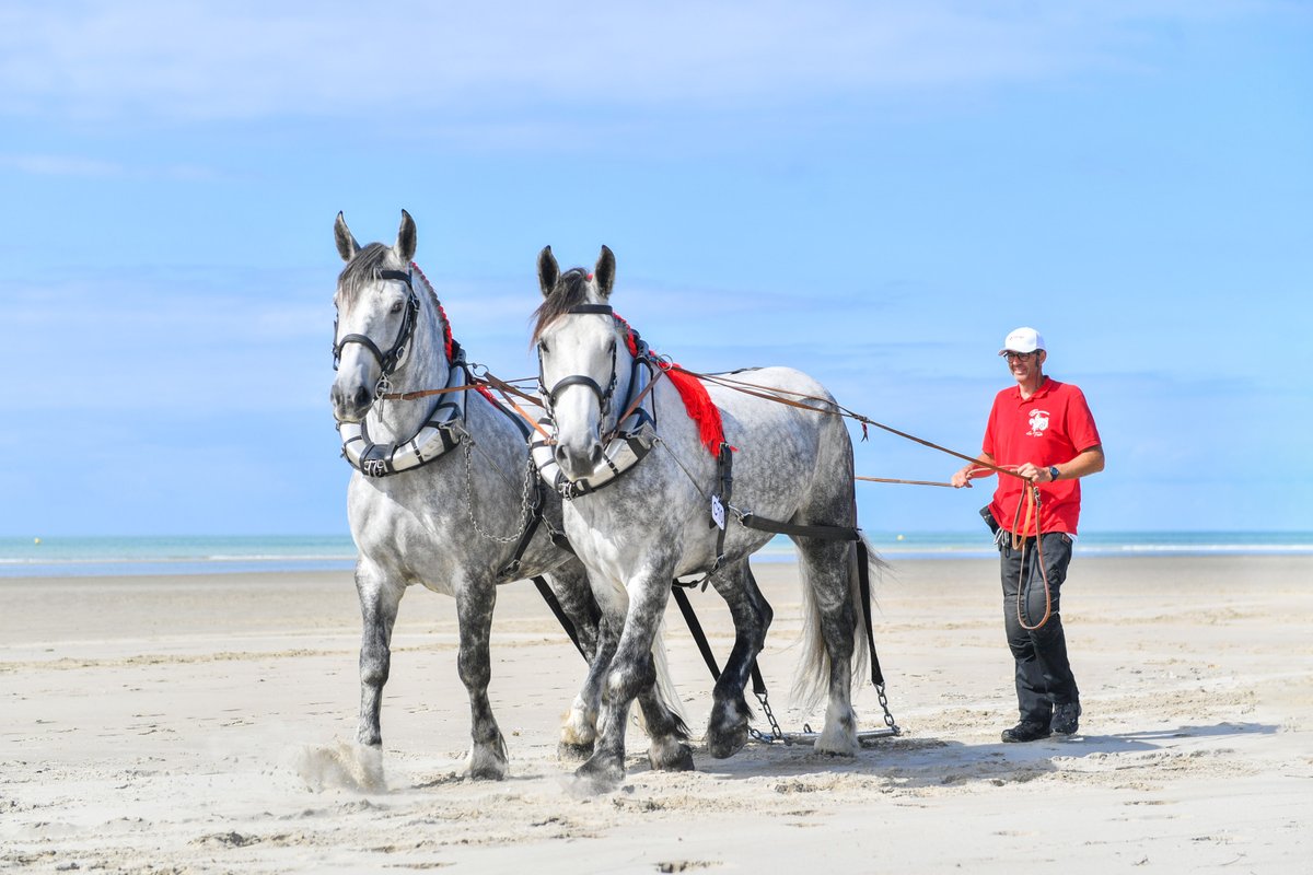 pasdecalais62's tweet photo. 🐴 En route vers Paris ! La Route du Poisson, plus grande course de relais d'attelage de chevaux de trait d'Europe, termine son périple de 6️⃣ jours au départ de #BoulogneSurMer afin de promouvoir les #chevauxdetrait et le monde maritime !
#pasdecalais #routedupoisson #cheval https://t.co/L9Plw6oGXq