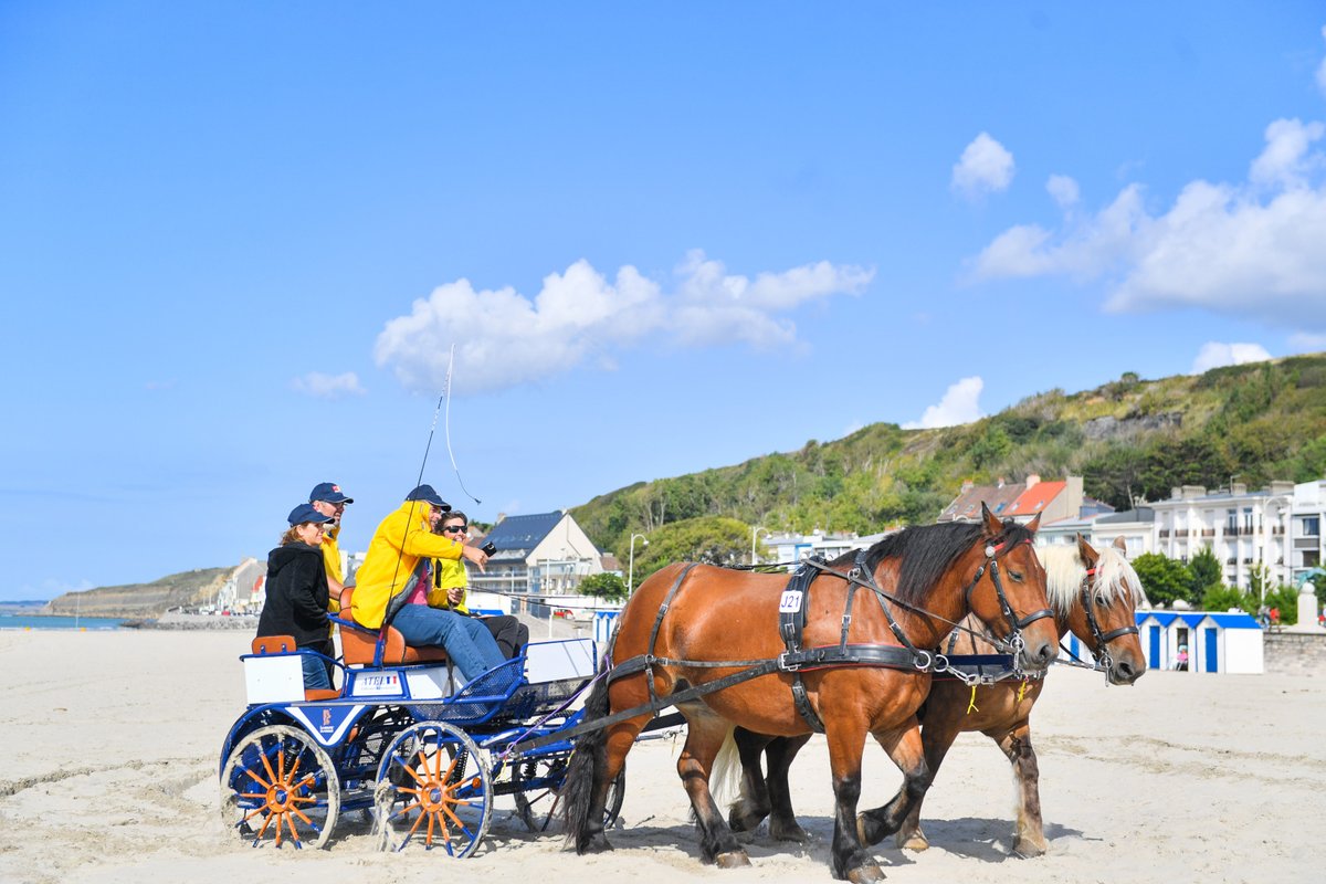 pasdecalais62's tweet photo. 🐴 En route vers Paris ! La Route du Poisson, plus grande course de relais d'attelage de chevaux de trait d'Europe, termine son périple de 6️⃣ jours au départ de #BoulogneSurMer afin de promouvoir les #chevauxdetrait et le monde maritime !
#pasdecalais #routedupoisson #cheval https://t.co/L9Plw6oGXq