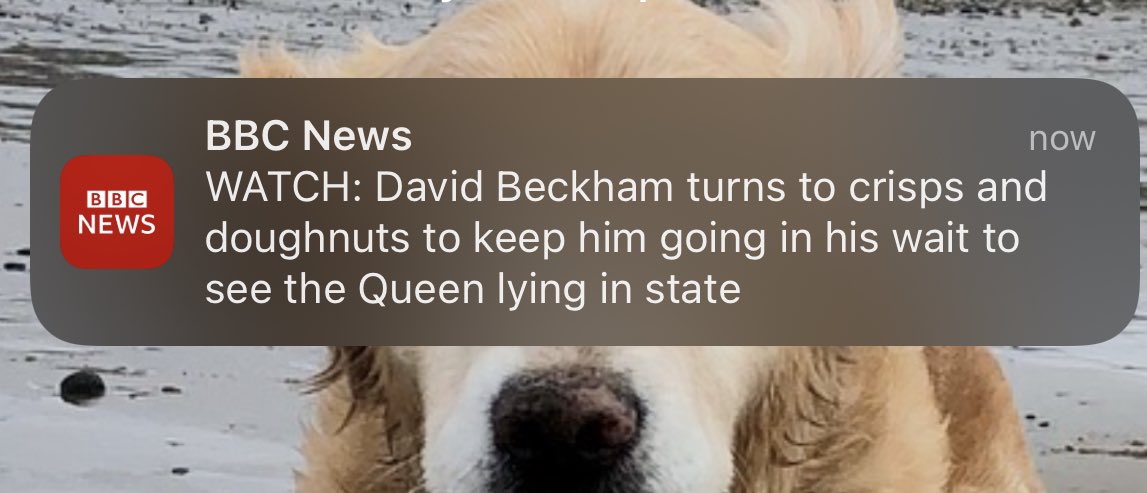 TomosThomas's tweet photo. @BBCBreaking how is this news? Thought you were better than this. Not exactly notification worthy . Notifications now off . https://t.co/YLBp7Bx0ac