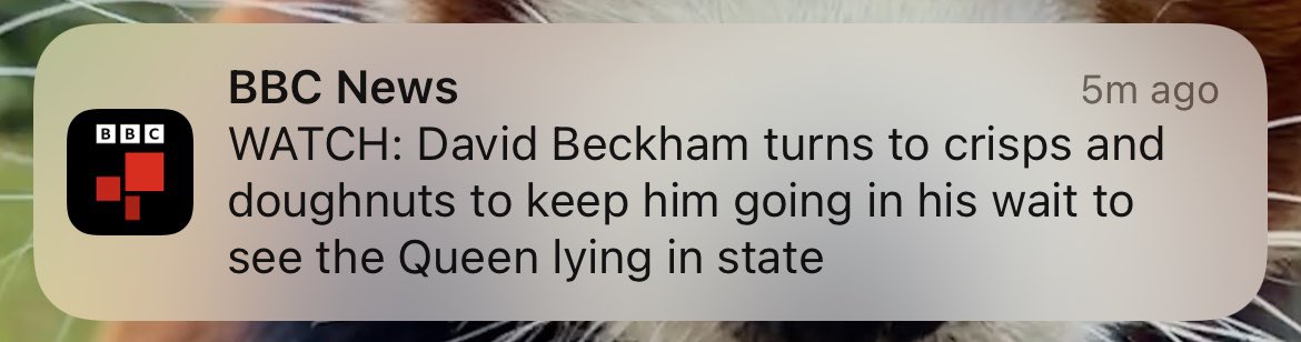 daaydreaming_'s tweet photo. Top level journalism from the BBC https://t.co/dIah2blIpi