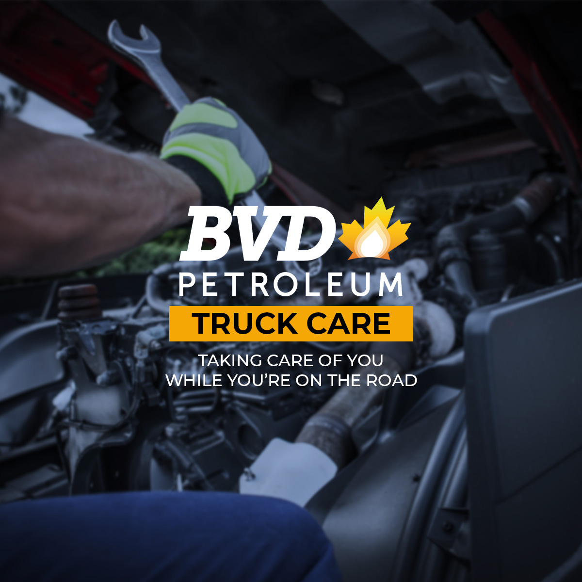 BVDPetroleum tweet media