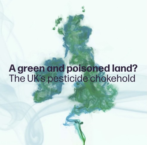 Commissioning this piece looking at what we know - and don't know - about the pesticides we coat the countryside in, I wasn't ready for quite how horrified I'd be by the answer.
 
A green and poisoned land? Read <a href="/AnnaTurns/">Go Toxic Free</a>' piece to decide for yourself

➡️ endsreport.com/1799047/