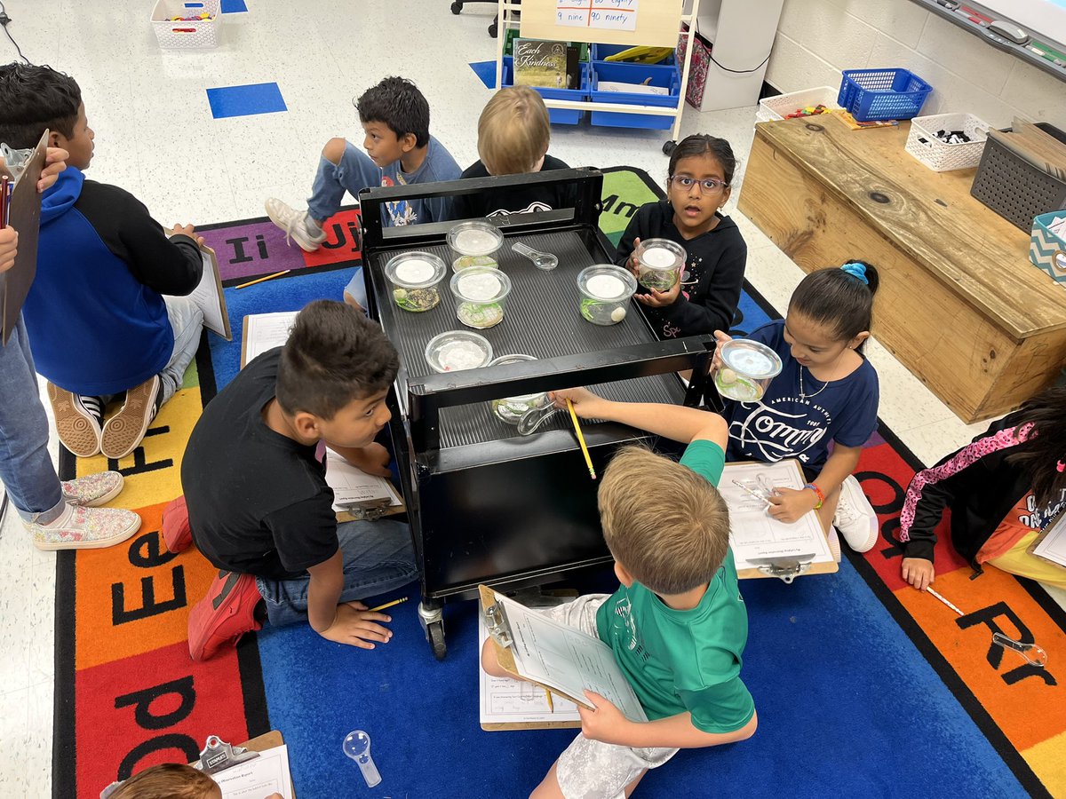 Our ladybugs are here! Our first observations happened this morning! @FCPSScience <a href="/BullRunES/">FCPSBullRunES</a>