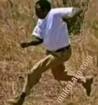 MushDavis's tweet image. Sisi wote mbio tukampee jose kamangu zawadi......
Huyu mseiya alitusave sana🤣🤣🤣🤣🤣🤣