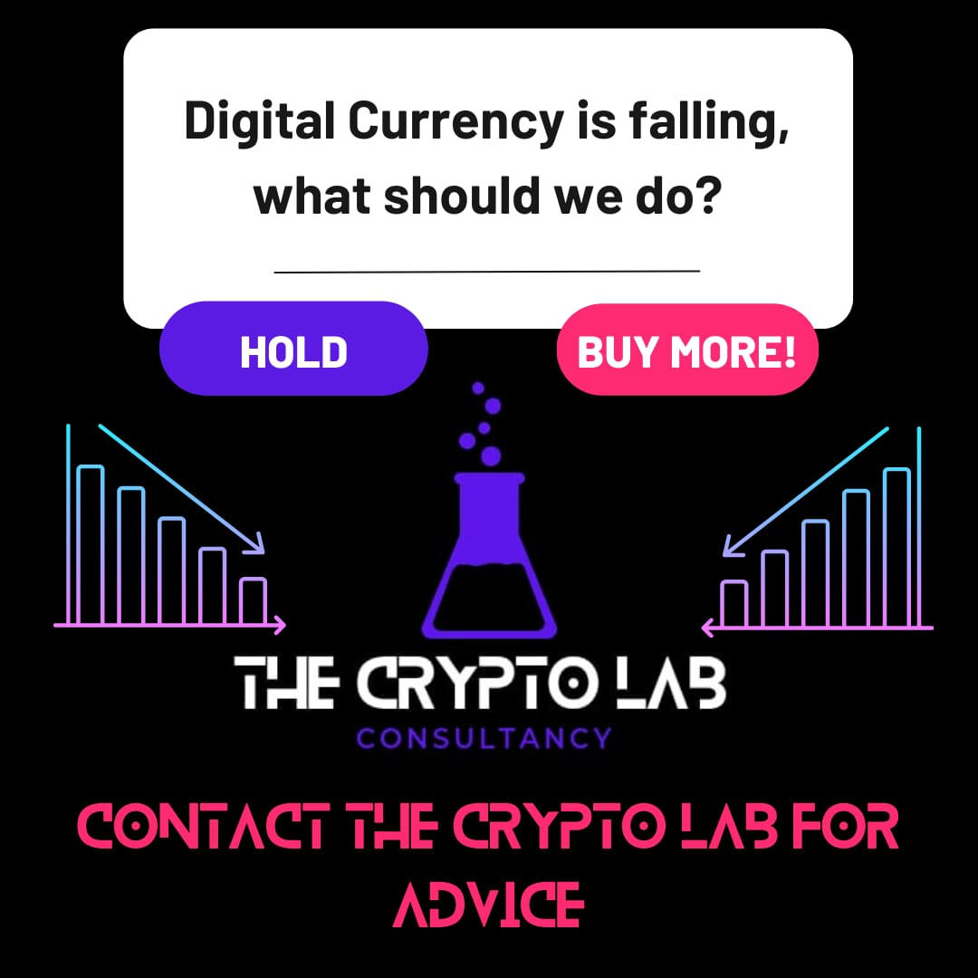 _CryptoArtHouse's tweet photo. Crypto can be volatile, but don't panic!

The Crypto Lab is here to give you the best advice through our consultancy service.

Get in touch to book a session.

🚀 https://t.co/qc1Wt5pXga 🚀

#crypto #cryptocurrency #cryptotrading #cryptocurrencies #cryptoinvestor #cryptoinvesting https://t.co/F9T3KrzaTg