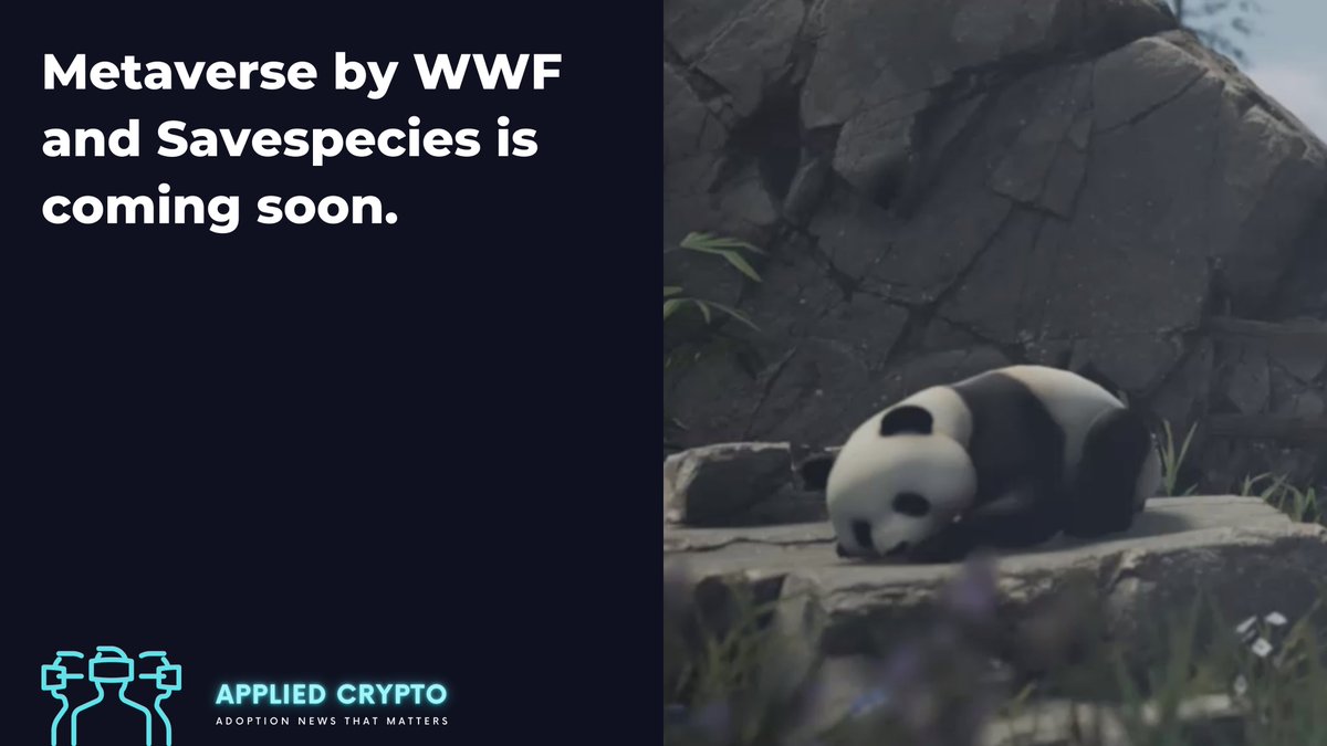 crypto_applied's tweet photo. With #OceanDetox, #WWF Germany and #Savespecies  open the first digital exhibition space for a good cause in the #Metaverse on #WorldCleanupDay2022. The exhibition draws attention to the global plastic waste crisis and generates direct support for environmental protection. #Web3 https://t.co/dDhLUFMZbo