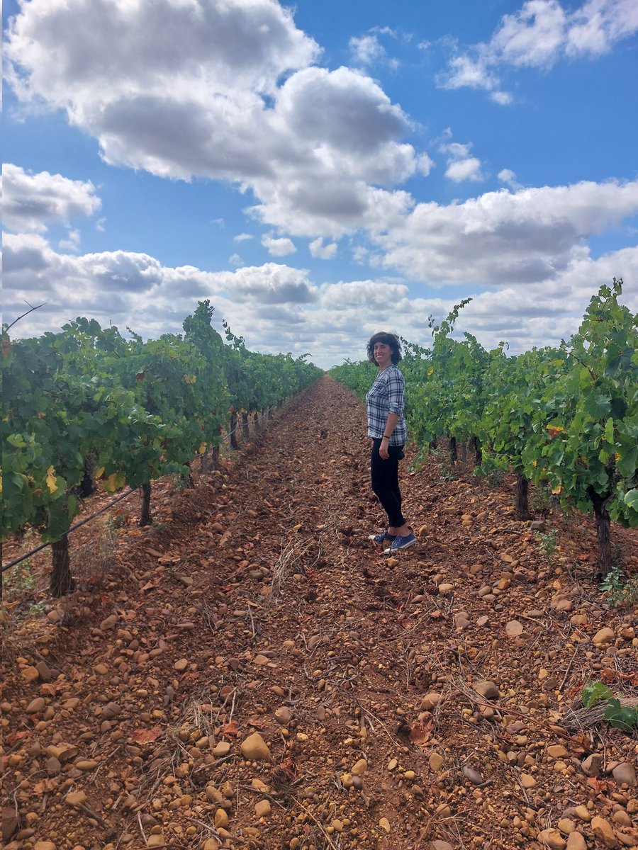 #LeónSeVive también en sus viñedos. Una de las mejores visitas la podéis hacer en <a href="/VILELaFinca/">VILE La Finca</a>. 
Vinos 🍷y un paisaje 🔝
#Leonlotienescerca