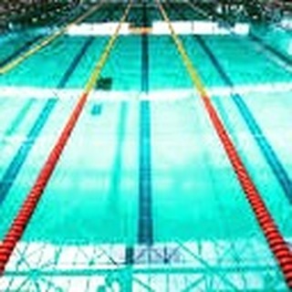 HeavyHearts66's tweet photo. Drowning in the talent pool? Come swim like an Olympian with me! 

 #Ambassador #exclusive #fullaccess #QSciences #qsciences #myownboss #Championship 

https://t.co/riiiBIHE1d https://t.co/Z8sHuXmkK9