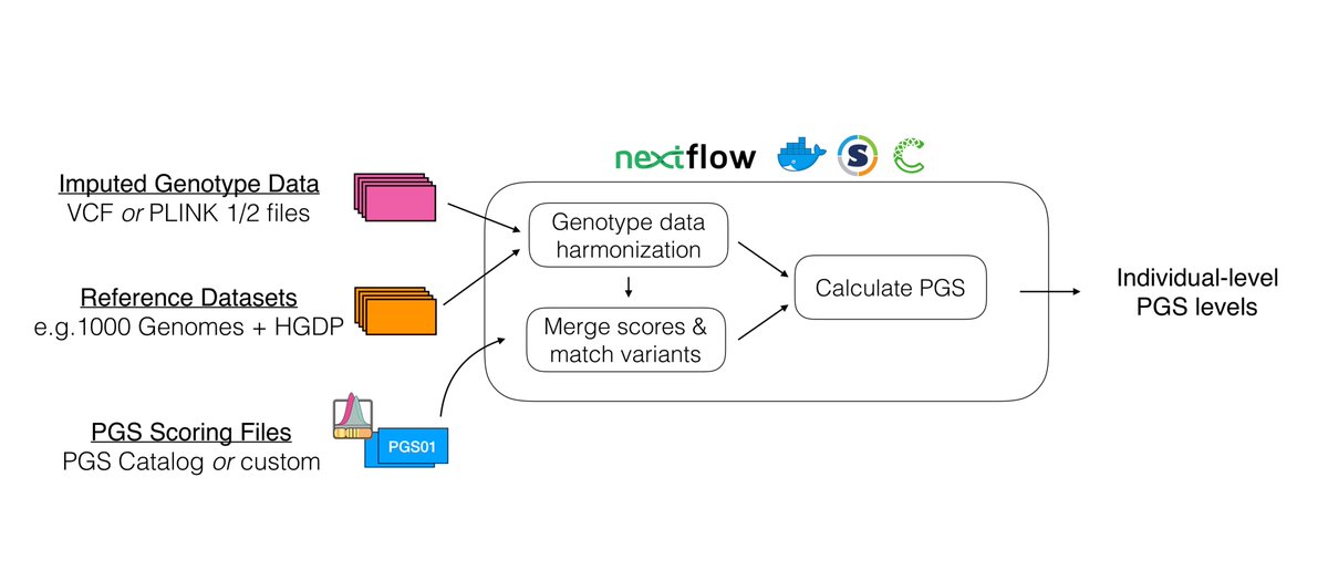📣NEW TOOL! Wish there was a tool that made calculating existing #PolygenicScores and #PolygenicRiskScores in new datasets easier? We @PGSCatalog have made just that! INTRODUCING pgsc_calc: an open-source pipeline to calculate PGS using nextflow github.com/PGScatalog/pgs…