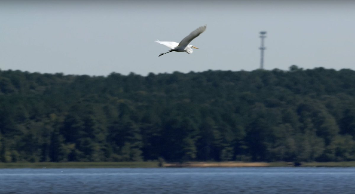 The Canon R7 has a 4K/60P crop mode which allows you to turn the 18-150 kit lens into a 430mm lens at the long end 😎 <a href="/jsattin/">Josh Sattin</a> takes the lens for a spin: youtube.com/watch?v=yFzxzw…