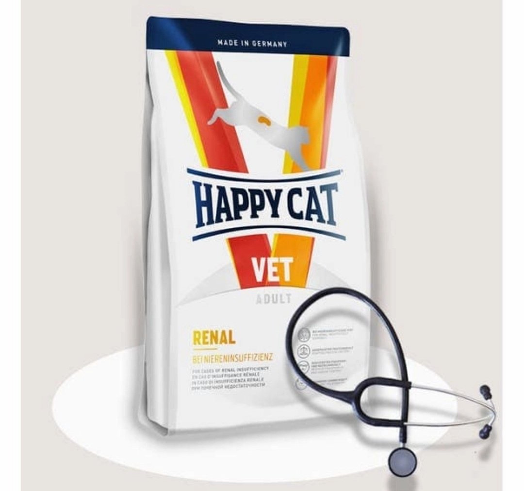 risya_____'s tweet photo. @kochengfs Im organic untuk yang sehat..happy cat renal untuk majikan yang sakit ginjal.. https://t.co/x00ciHAd3R