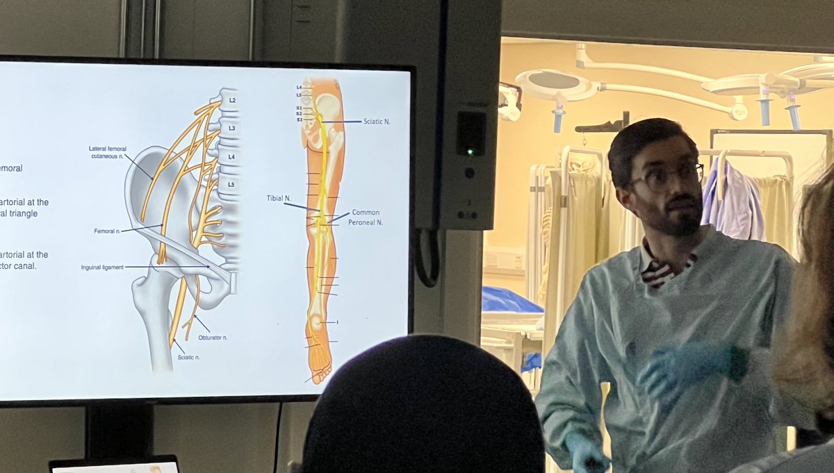 draroramohit's tweet image. #ScanScanScan #BlockBlockBlock 

#CadavericUSGuidedRegionalBlockCourse @CADSIMLeeds @UniversityLeeds @LeedsHospitals @vdaga3