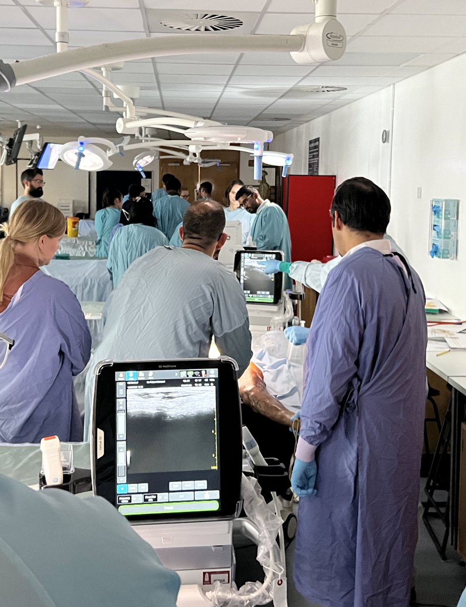 draroramohit's tweet image. #ScanScanScan #BlockBlockBlock 

#CadavericUSGuidedRegionalBlockCourse @CADSIMLeeds @UniversityLeeds @LeedsHospitals @vdaga3