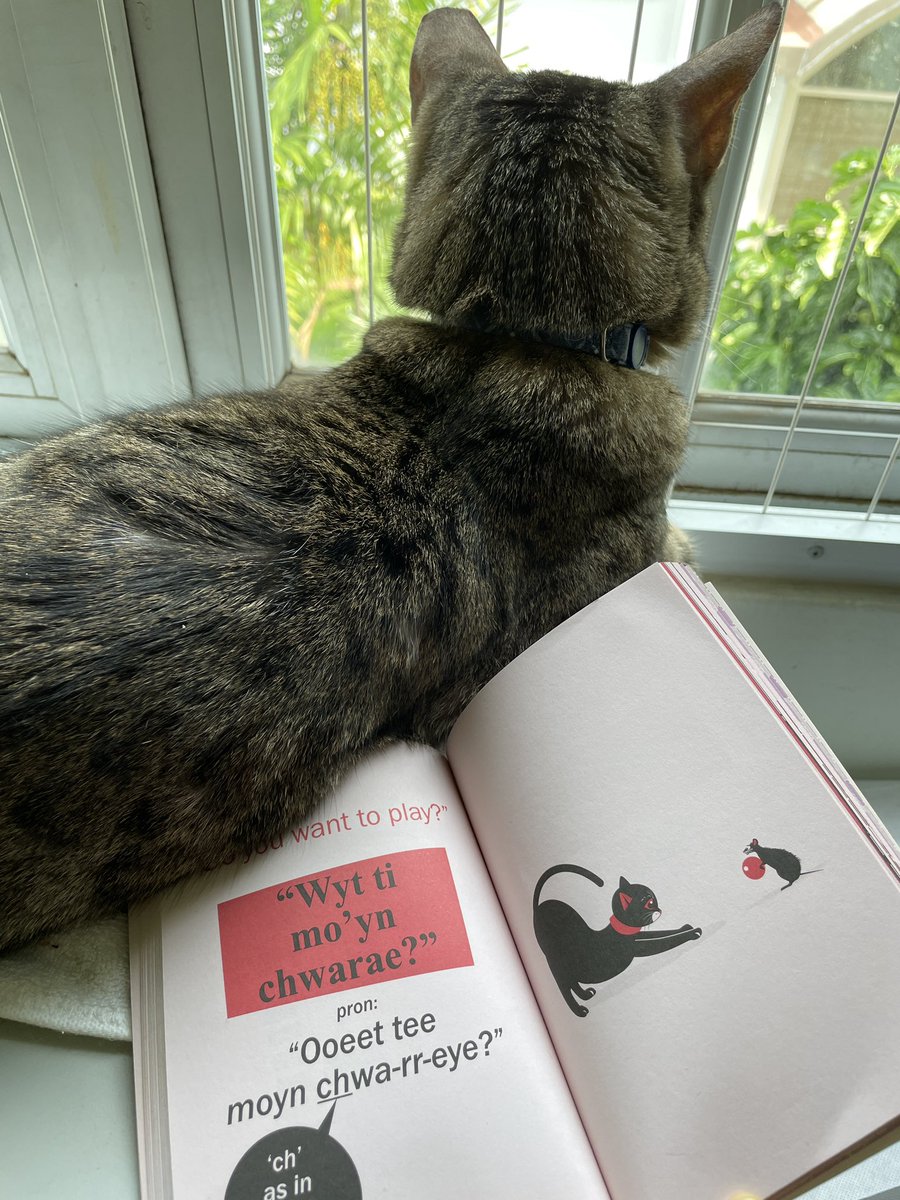 Gemmstarr's tweet photo. @djdebgrant @jazzfm Theo says he wants your view. Here he is asking the birds if they wanna play in Welsh. https://t.co/ofenu85Dm3