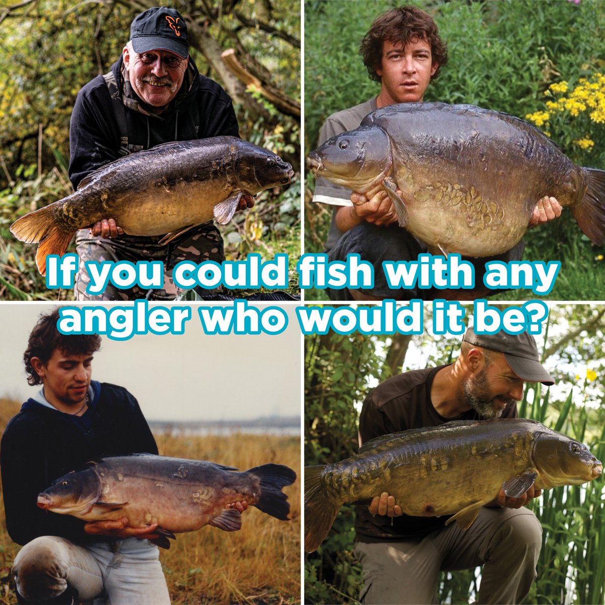 CARPology tweet media