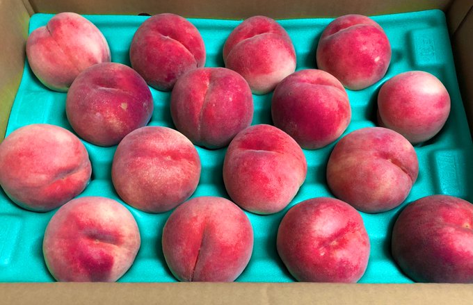 さくら白桃のtwitterイラスト検索結果 さくら白桃のtwitterイラスト検索結果