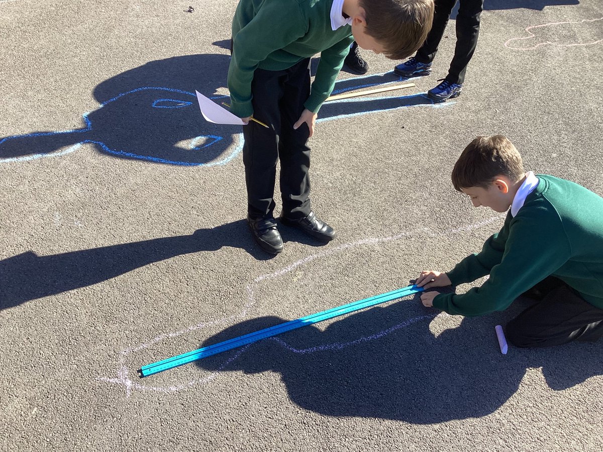 Meadowside Y6 Elder🌿🍃 tweet media