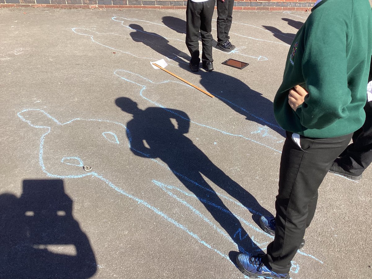 Meadowside Y6 Elder🌿🍃 tweet media