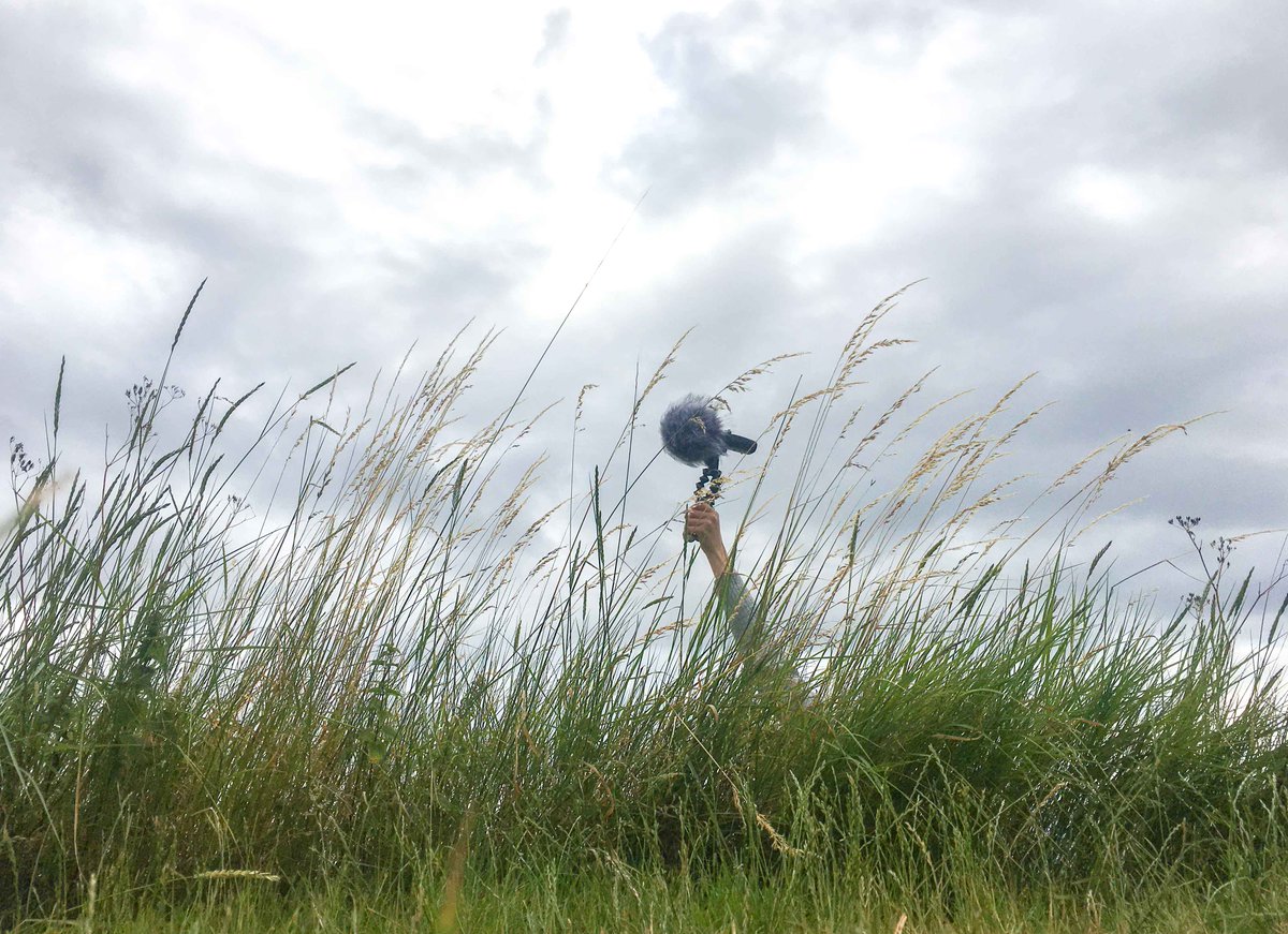 museumofwalking's tweet photo. Any non-humans out there? We have someone #listening to what you have to say and she's chatting about your gossiping on #Tuesday at 7pm BST Meet Cecilia Tyrrell https://t.co/8oYSTRB6fk Please RT #SWS22 #SoundWalkSeptember https://t.co/rVpqXUqDr6