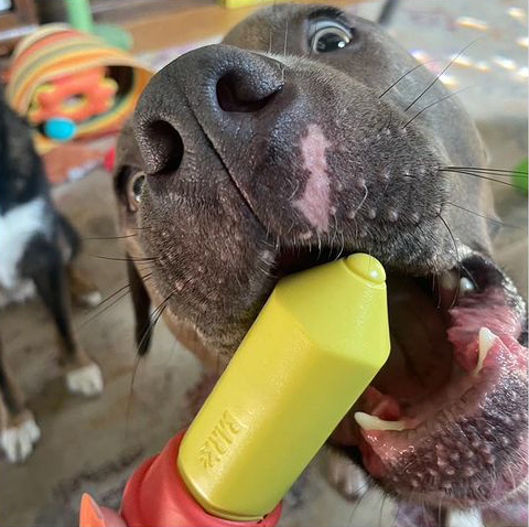 Mom: these are your after school snacks!
Me at 10:01 am: