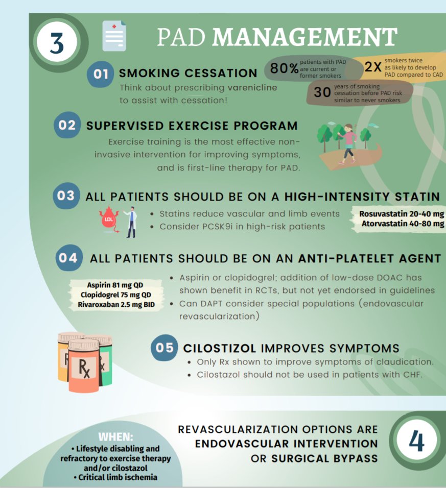 UTSW Hospital Medicine (@utswhospitalmed) on Twitter photo You up to speed on PAD? 🏃♂️Check out this great infographic by IM resident <a href="/ayeeshik/">Ayeeshik Kole, MD, PhD</a> <a href="/UTSWIMchief/">UTSW Internal Medicine Chiefs</a> You up to speed on PAD? 🏃♂️Check out this great infographic by IM resident <a href="/ayeeshik/">Ayeeshik Kole, MD, PhD</a> <a href="/UTSWIMchief/">UTSW Internal Medicine Chiefs</a>