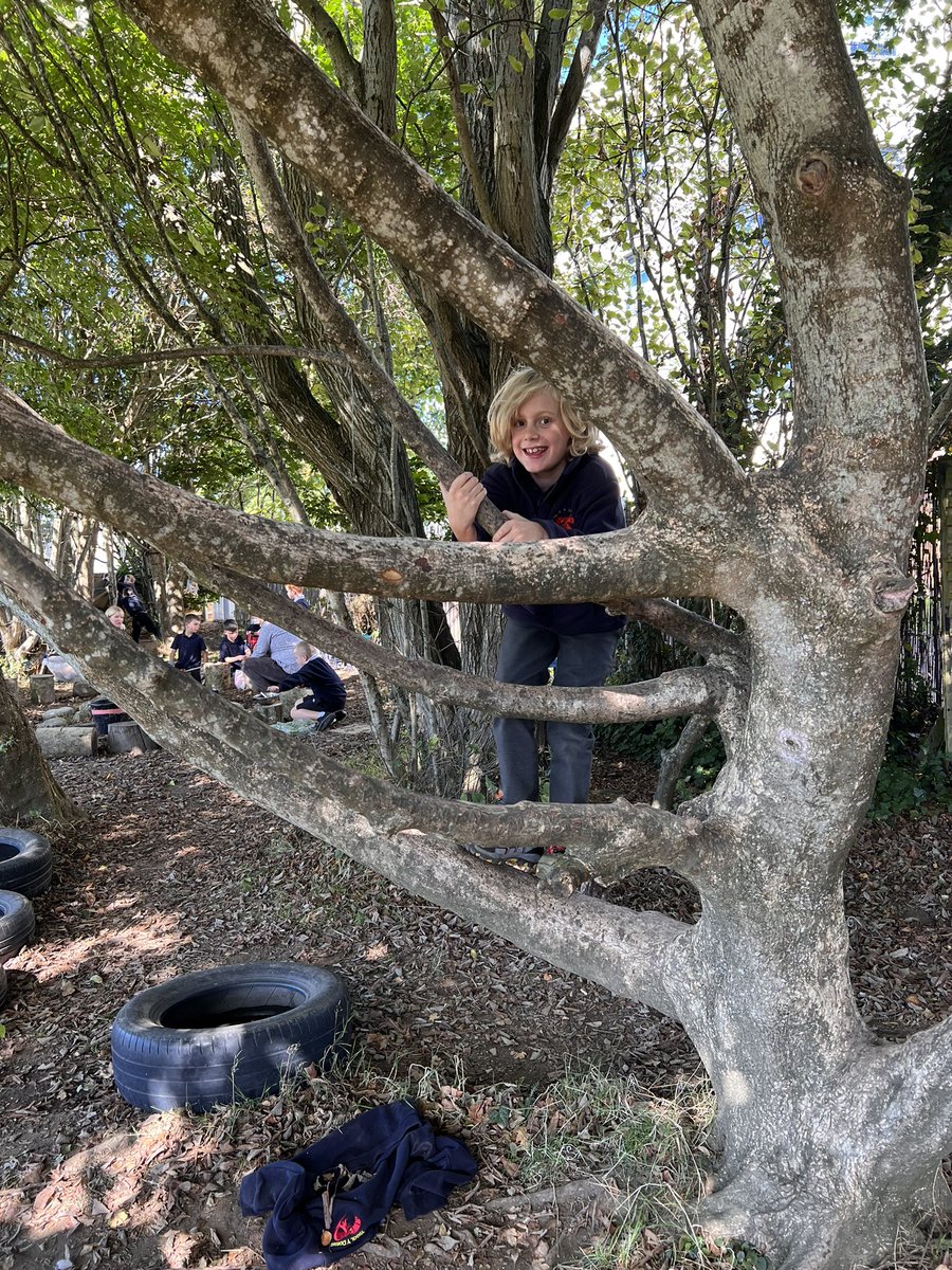 ysgolyddraig's tweet photo. #YYDtaf Diolch to @walkinthewild1 for our first Forest school session. We made delicious plum jam! #YYDenjoy https://t.co/kFaUd7B2E2