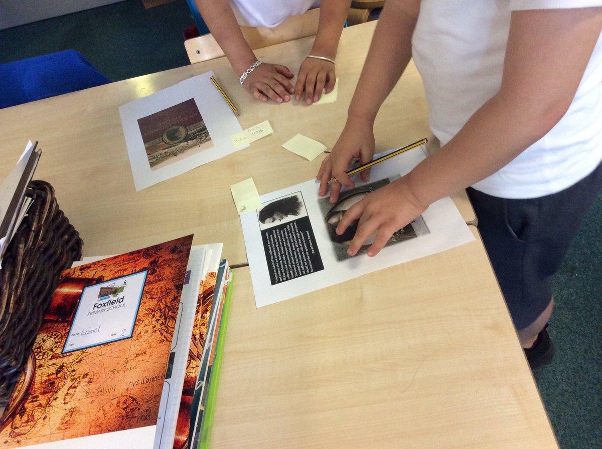 Foxfield Year 2 Ash tweet media