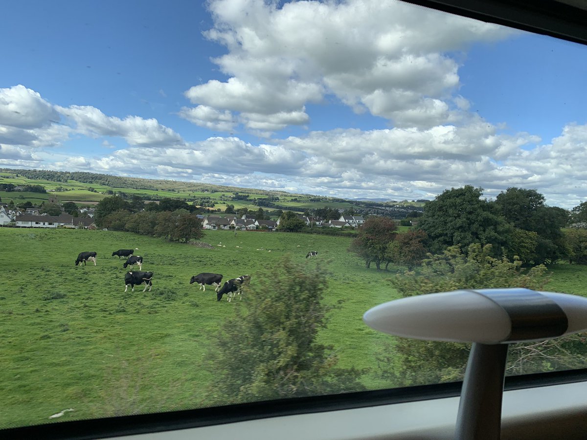 Good news from <a href="/austinfilmfest/">Austin Film Festival</a> and nice views (on train to Glasgow)!