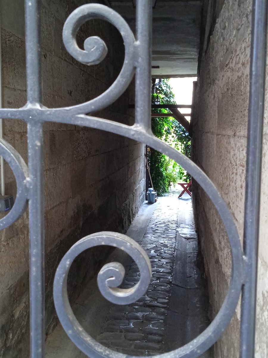 lovetreessp's tweet photo. Petit jardin de ville bien caché...🌺 https://t.co/djag6drQkQ
