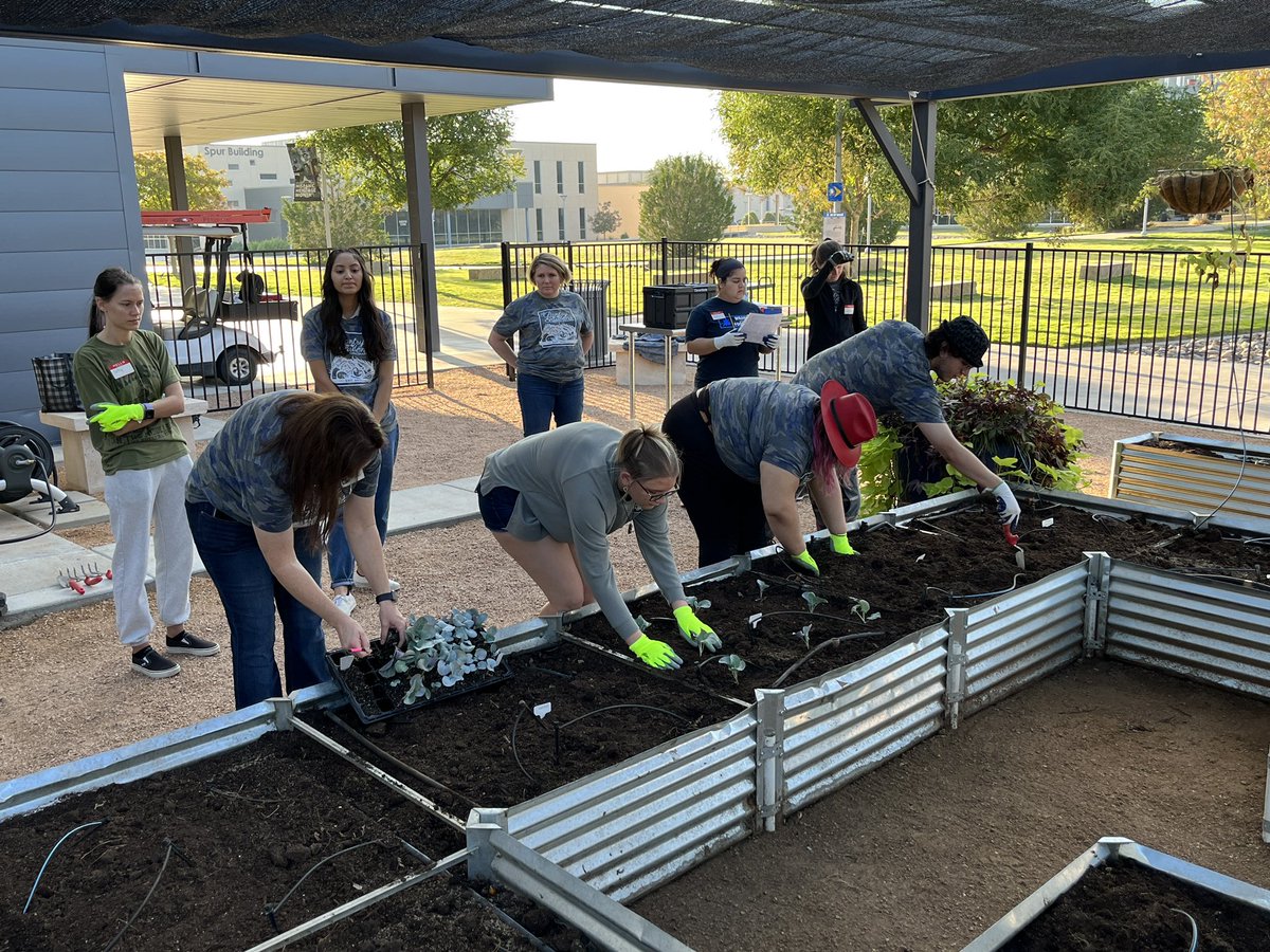 OdessaCollege's tweet photo. On Fridays we plant! 🌱 #PantryGarden @atmosenergy #FallVeggies #TweetOC https://t.co/wKOEwvxHr6