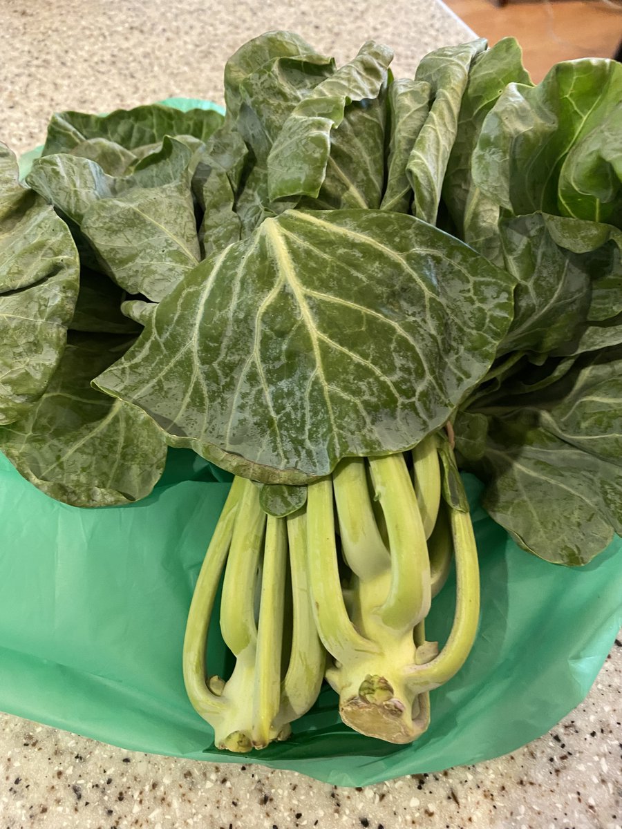 HankPRyan's tweet photo. This arrived in our CSA box. Anyone know what this is?

#greenthing #notlettuce #notspinach #weirdcabbage? #vegetable #cooking #recipe https://t.co/48IjYHAuKy