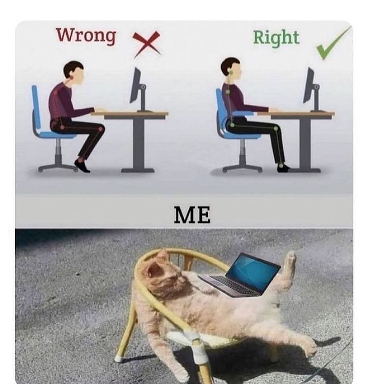 CatCurioOnline's tweet image. And I wonder why my back hurts⁣
catcurio.com
#Clawful #pawful #Cathletic #furreal #furrealfriends #furend #catsontwitter #catsoftwitter #catcurio