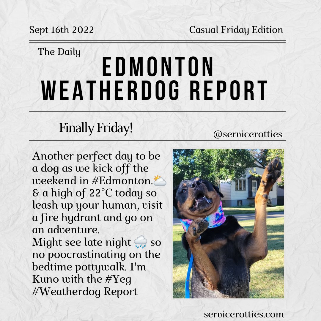 Another perfect day to be a dog as we kick off the weekend in #Edmonton.⛅️ & a high of 22°C today so leash up your human, visit a fire hydrant and go on an adventure. Might see late night 🌧 so no poocrastinating on the bedtime pottywalk. I'm Kuno with the #Yeg #Weatherdog Report