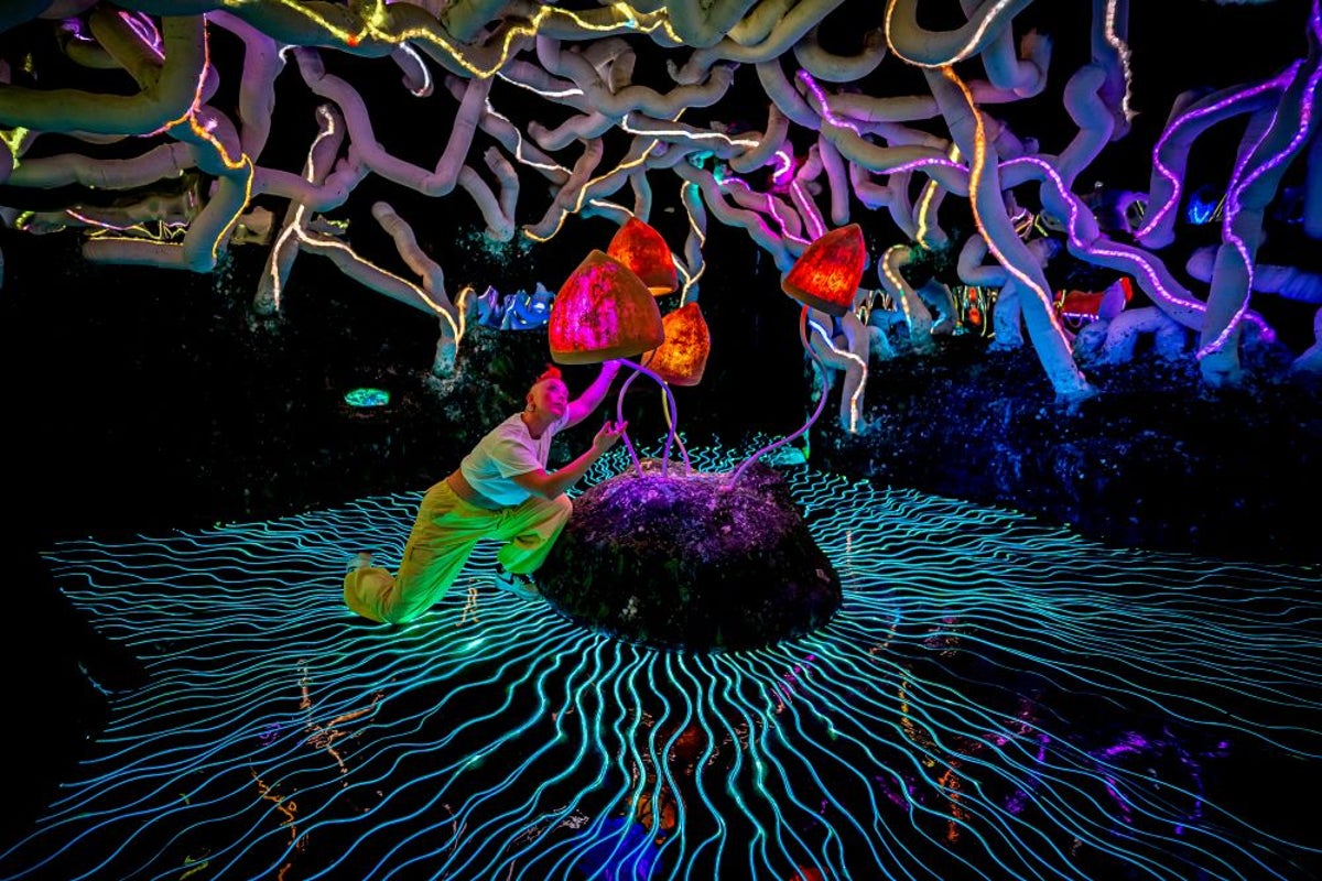 Portland tweet media