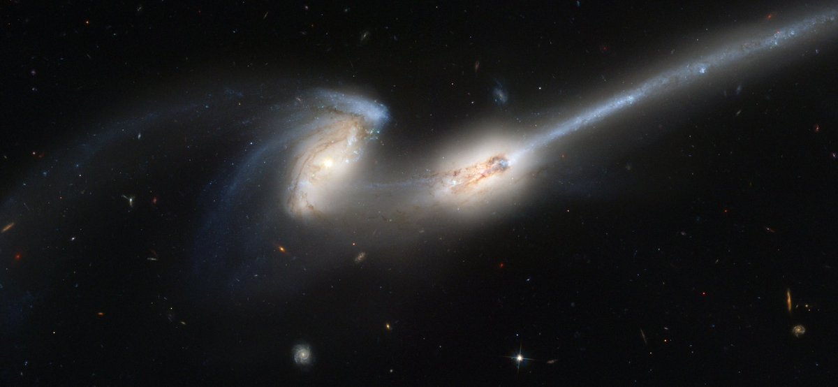 ContedeLespace's tweet photo. NGC 4676 A &amp; B : Deux galaxies appelées Galaxie des Souris qui sont en pleine collision en vue de fusionner

© NASA 

#nasa #space #espacio #galaxy #galaxie #Astrophotography #photo #Photographie #photooftheday #photography #PhotographyIsArt #Star #Etoile #astronomy #astronomie https://t.co/5kXLnIpjvm